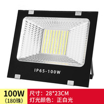 12V24V220V Outdoor LED Spotlight Waterproof shop Courtyard Lights tree light superbright door head Signs Spotlight