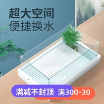 Semi-water turtle tortoise tortoise tank plant landscape water turtle glass tank water and land tank yellow edge breeding box