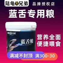 Tortoise Brothers Brand Blue Tongue Grain Stone Palatability Strong Nutritional Feed Blue Stone Grain 200g Blue Tongue Grain
