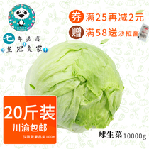 Fresh vegetables Round lettuce salad vegetable ball lettuce Western salad vegetable pancake vegetable 20 kg catering whole piece