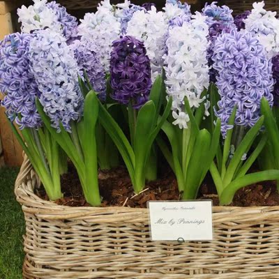 质量好，不扎人，没有色差&hellip;&hellip;质量好，不扎人，没有色差&hellip;&hellip;质量好，不扎人，没有色差&hellip;&hellip;质量好，不扎人，没有色差&hellip;&hellip;质量好，不扎人，没有色差&hellip;&hellip;质量好，不扎人，没有色差&hellip;&hellip;质量好，不扎人，没有色差&hellip;&hellip;质量好，不扎人，没有色差&hellip;&hellip;质量好，不扎人，没有色差&hellip;&hellip;质量好，不扎人，没有色差&hellip;&hellip;质量好，不扎人，没有色差&hellip;&hellip;质量好，不扎人，没有色差&hellip;&hellip;