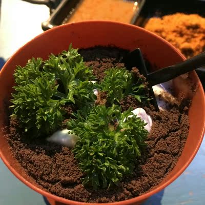 因为本仙女很懒，不想每一件商品都一样一样地去写好评，所以特意写了这样一个评论。但是这件商品无论是质量、材质还是款式，肯定都是本仙女所中意的，如果本仙女不喜欢的话，本仙女收到货肯定是会很生气的，很气很气的那种哦。不然这个评论肯定会变成那种喋喋不休，怨气横生，怨天怨地的那种。最后当然不可能忘了给这件商品一个好评，给各位爱淘宝的宝宝们一个购物参考，这个产品还是非常值得购买的！ 祝看到这条评论的各位小仙女们永远年轻漂亮美丽大方，永远都是16岁