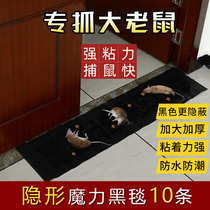 Rat Mucus Powerful Rat Plate Mousetrap God Instrumental Super Power Glued Large Rat clips Mouse Trap to catch home exorciser