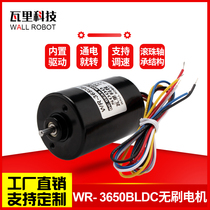 3650BLDC micro DC brushless speed Motor high speed motor 12v24v high power life long