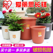 Alice thickened resin plastic flower pot long bowl deepened heightened Alice flower pot green garden flower pot