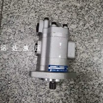 Double spline hydraulic pump engineering vehicle oil pump Tianjin gear pump G5-12-6-AH15F-L can be customized