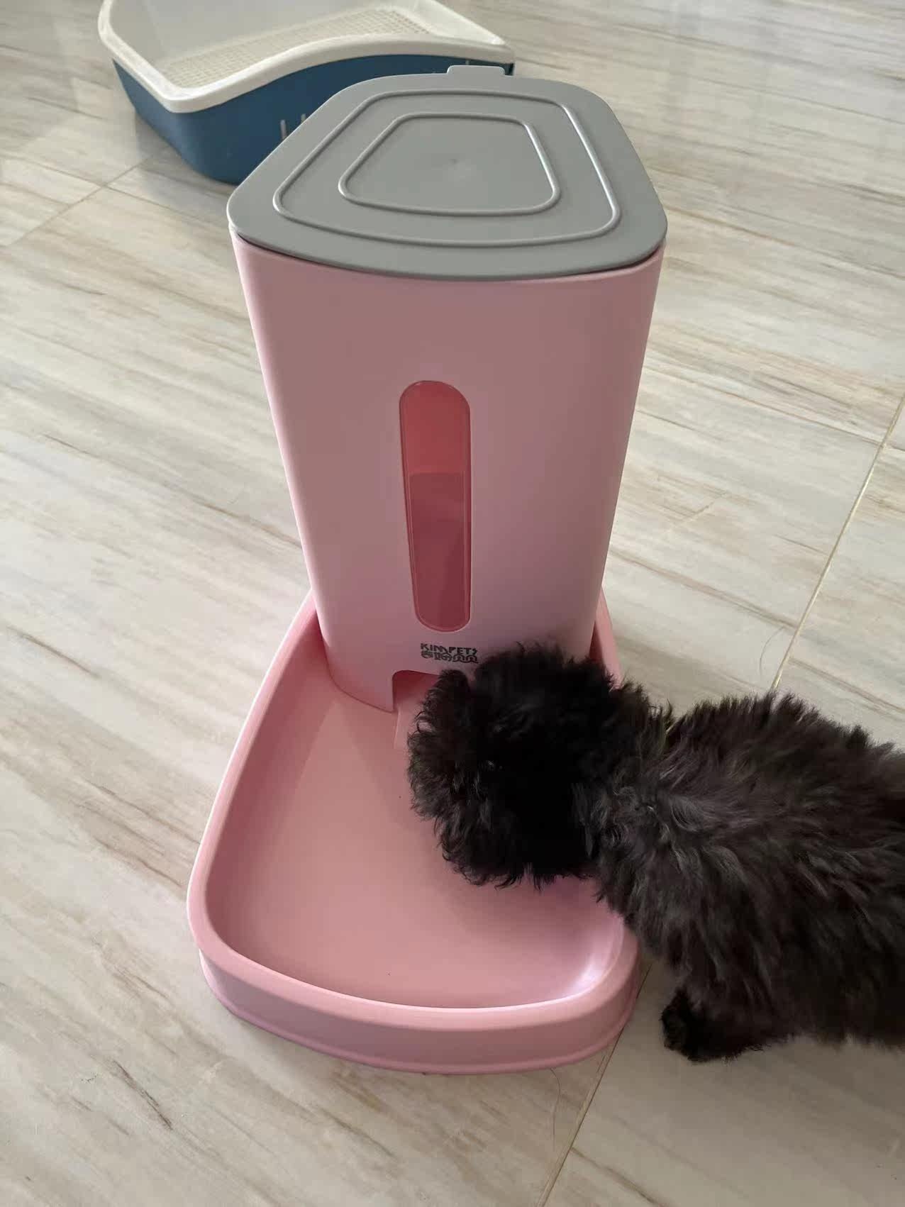 良心点评猫咪自动喂食饮水器/水壶/水头好不好呢?剖析怎么样?使用评测曝光