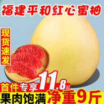 Fujian Pinghe Red Heart Grapefruit Fresh 9 Jin Big Fruit Red Meat Honey Pomelo Guanxi Grapefruit in the season