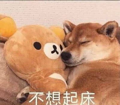 认真看复制好内容本大仙的评价，追答中有福利慢慢平常大仙给的仙果o(*￣︶￣*)o 本大仙要上班，很忙，忙着在天猫购物，抢秒杀，收快递。所以在评价方面会比较偷懒，所以特地模仿别人写下这个模板。下面开始我的评语，首先表扬店家请的客服，因为从始至终他都没有打扰我，当然我也没有向他提问。购物这么多年，哪有时间去问这问那。直接买，不好就退货，好就留着。今天本大仙给了你好评就证明我认可了这个宝贝，如果不满意的话，本大仙会天雷招呼你们O(&cap;_&cap;)O哈哈~，你们也不会看到这个好评模板。