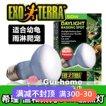 Xijin crawler crawler chameleon lizard tortoise day lamp soft light uva heating lamp rain type tortoise sunlight