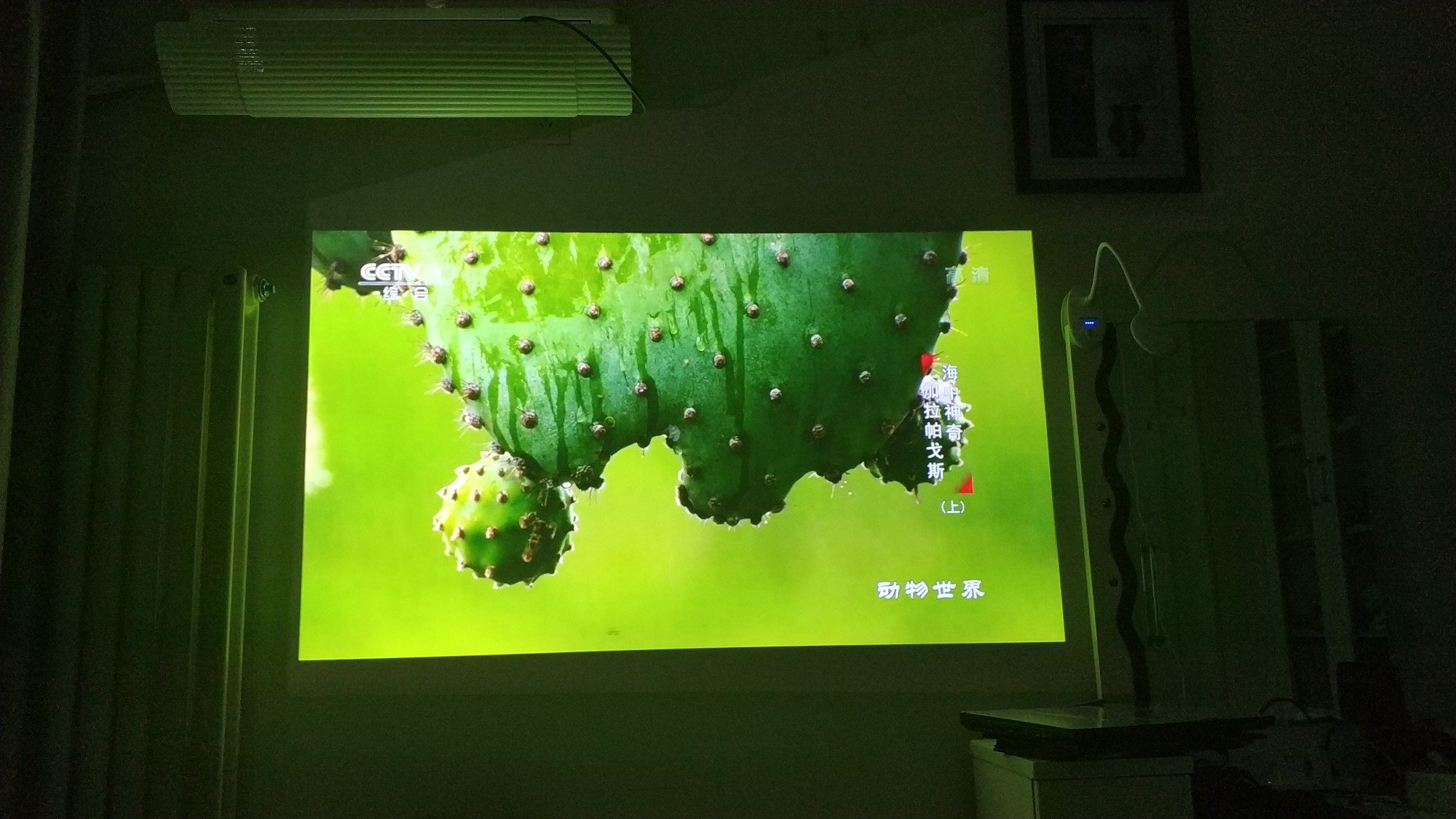 坚果J9投影仪怎么样,评测质量差吗?一个月感受说说