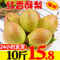 Fragrant pear 10kg 5 pears red crispy pear fresh fruit green crust sweet juicy Sydney whole box season