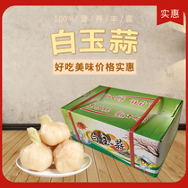 White jade garlic bulk ready-to-use white sugar garlic net weight 5 catty of sugar vinegar garlic crystal hot pot garlic