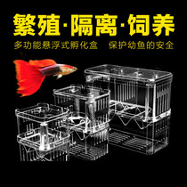 Peacock fish breeding box isolation box fish tank inner dense net production house fighting fish floating small fish big number mini tropical fish