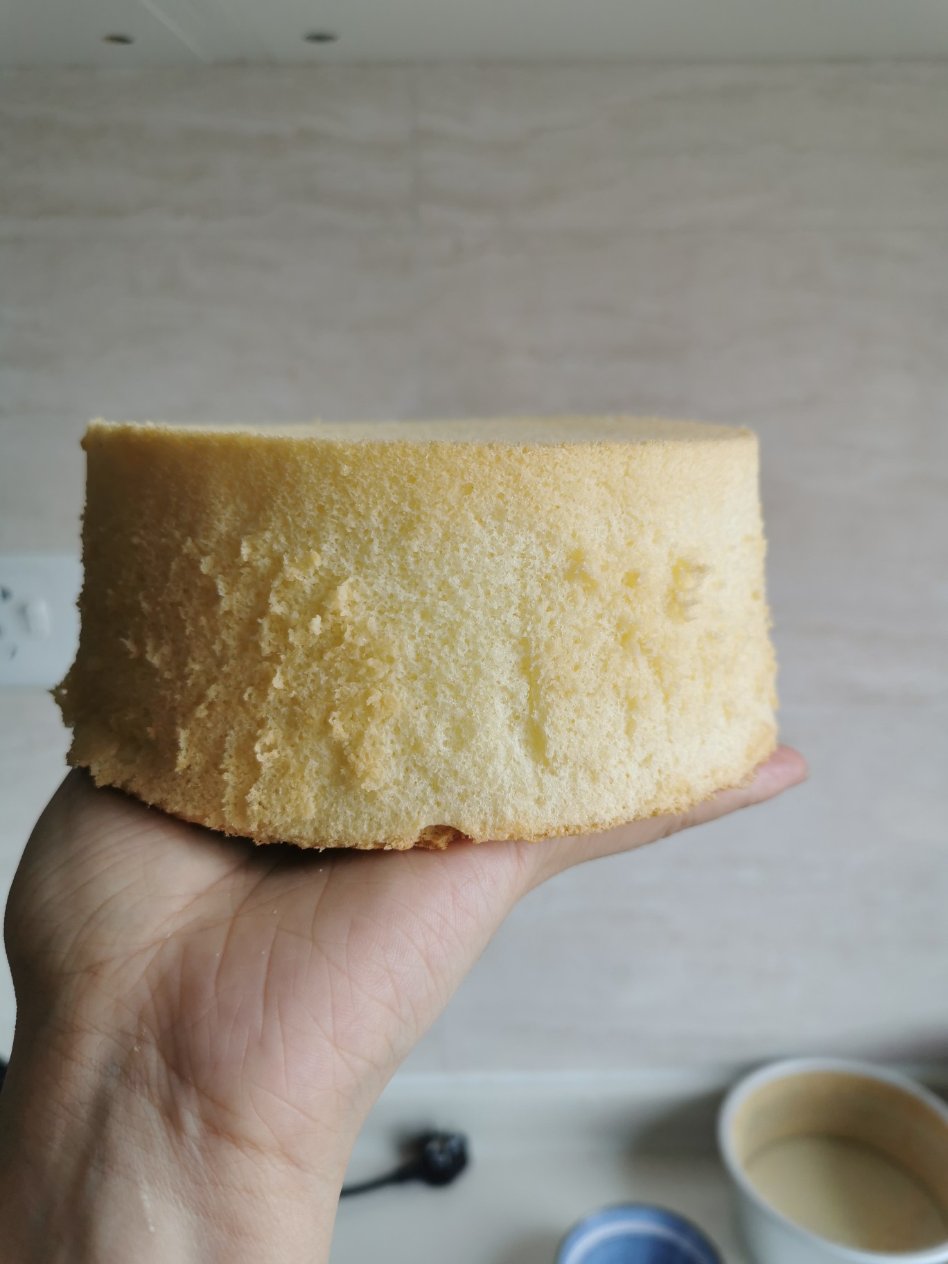 使用一年了点评下DAOGRS M6s嵌入式蒸烤箱怎么样？质量如何？