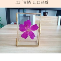 Plant and insect specimen holder Home cabinet decoration rack European desktop vertical photo frame Certificate holder Photo photo holder
