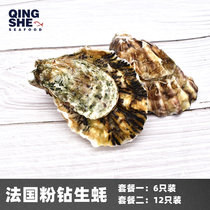 French air transport fresh blue Yu rose pink diamond oysters N1 N2 Raw ready-to-eat fresh sashimi Non-Girado