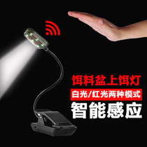 Taiwan fishing induction bait lamp charging bait lamp lamp red and white double light bait lamp supplies night fishing bait lamp