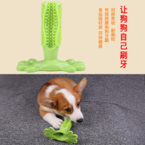 Dogs toy small dogs medium large scale resistant gold wool clear teeth resistant to bite and tooth bite glue outlet smelly toothbrushing supplies