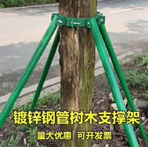 Anti-pouring galvanized municipal garden forest greenery windproof tree brace tool holder tree support holder fixer greenery tree