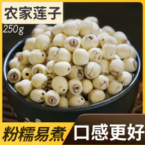 Xun Baicao lotus seeds dry goods to core fresh lotus rice farm-produced handmade lotus seeds Premium white lotus seeds 250g
