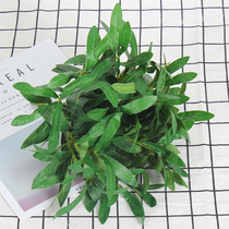 New Wedding Celebration Olive Branch Floral Arts Scene Arrangement Wedding Floral Stage Welcome Shop Window Arrangement Floral