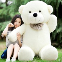 Plush Toy Paparazzi Giant giant panda cuddle with cuddled bear sleeping with pillow girl bed cloth doll cute doll
