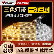 Bull led light with tricolour change light double-row neon light strip Line lamp Living room Decorative Patch Lighting Tube Ultra Bright Light Belt