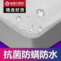 Waterproof beds Kasaki single pure cotton bed cover anti-mite insulation breathing machine-washed bed sheet cover mattress protection cover dust prevention