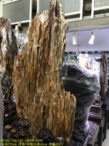 Burmese tree Jade living room large ornaments ice pure natural raw stone villa hotel company Club collection 2420