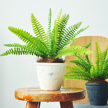 Nine Thoughts Simulation Green Plant Bonsai Fern Plant Bonsai Retro made of old coarse pottery basin Home Decorative Products art231