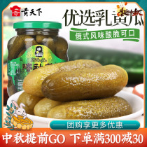 Gongtianjia preferred Katyusha canned Russian Pickles 670g * 3 cans of northeast pickled Pickles hamburger sour cucumber