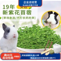 2021 new grass to be listed fresh purple flower clover grass drying clover grass 1KG boxes of dried grass Tuguinea pig dragon cat pasta
