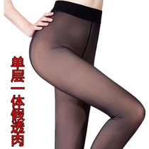 Chenr single - layer one - layer fake and transparent meat spring and autumn anti - hook pantyhose thin wear 3308