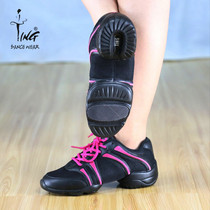 Chen Ting Special Cabinet Multifunction Jazz Dance Shoes Mesh Surface Square Dance Modern Dance Shoes Women Adults Indoor Outdoor Dancing
