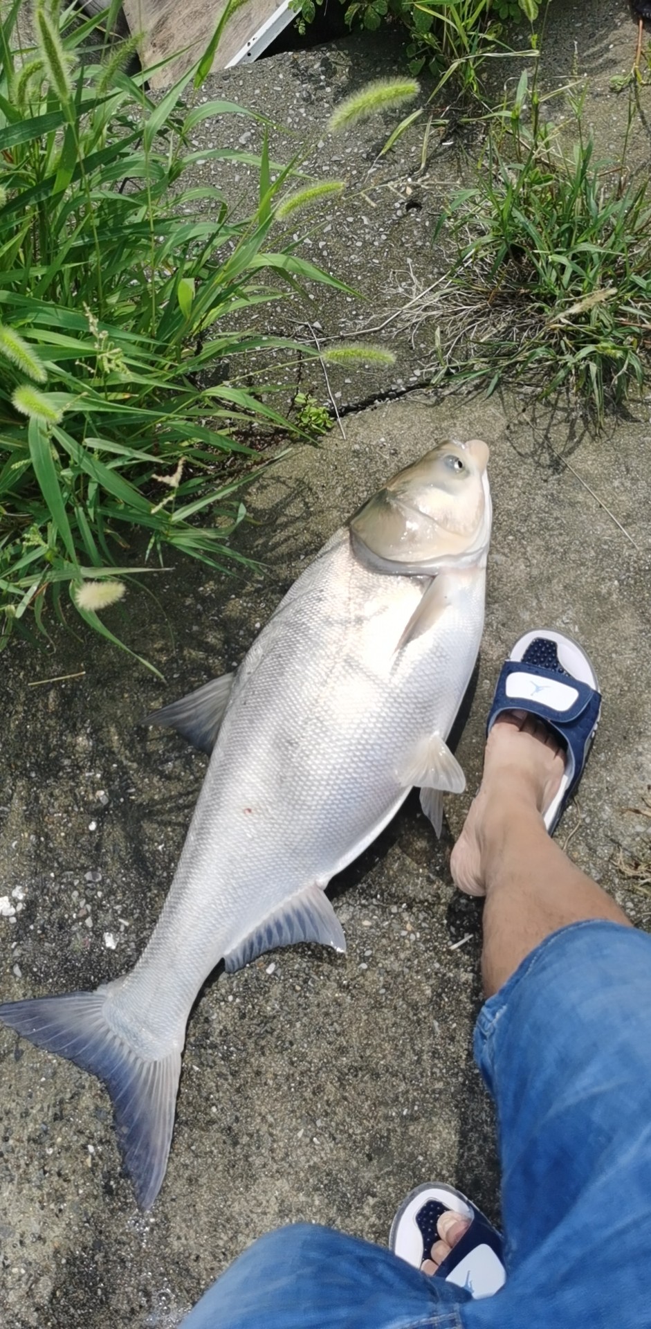 质量揭密大物杆起重机钓竿评价真的好吗?真相吐槽解密