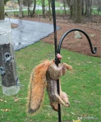 还挺好的，客服人更好，内裤只有裆部有底，非常像情趣内裤，因为本仙女经常淘宝购物，买了之后实在懒得一个个评论,  所以就集中写一个万能评论，只要评论了肯定就是比较合适的，无论材质啊，样式啊，码数啊都算不错吧，如果不好的话就会差评而且会告诉你们，不会好评，  大家可以简单做个参考，但是具体收到的货物您满不满意还要看您自己的要求，至少对于我来说还算比较满意的~ 写这么多字就是为了淘宝积分，听说它要评论满足多少字来着才能给积分。