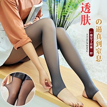 Autumn Winter High Waist Collection Abs Underpants Women Flight Attendant Grey Silk Stockings Garnter Outwear Meat Color Overt Pants Warm Palace Light Leg God