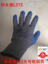 Warm Weaver Stars Star Woo Abrasion Resistant Gloves Men Winter Laubo Anti Slip Wear and Wear Soft Glue Thick and Large Full Working Winter