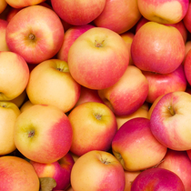 Yantai Apple 10kg Gala upgraded version Jonajin Qin Crown red banana apple fresh fruit noodles