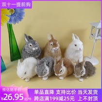 Simulation White Rabbit plush toy small animal ornaments mini doll indoor toy model birthday gift toy