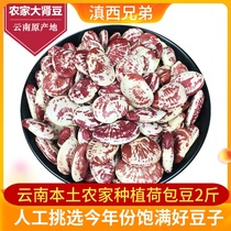 Poached beans large kidney beans 1000G Yunnan farmers self-produced flowers kidney beans non-zebra beans miscellaneous grains