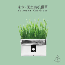 Net red not card vetreska soilless cultivation cat grass hydroponic seeds cat snacks to remove hair ball to help digestion