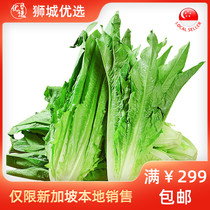 (Vegetable) lettuce 1kg Singapore local shipping