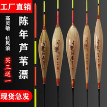 Alulu reed date nuclear type A38 to shell crucian carp Drift price carp Roonon sensitive full set of suit plus coarse float