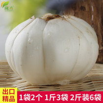 Longhui export Lanzhou fresh sweet lily 1000 grams Gansu local produce farmers eat big white hops non-special grade