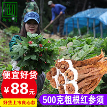 Imperial seal 500g coarse root red ginseng ginseng wine soup