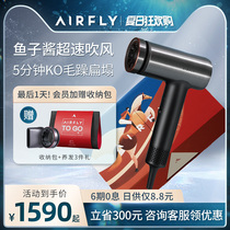AIRFLY hair dryer Negative ion caviar hair care Home high-power Porsche high-speed hair dryer gift
