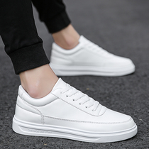 Men Deserve Suits Pilot Teenagers Casual Teen Sports Little White Tide Shoes 100 Hitch Junior High School Students White Shoes
