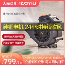 Yili Floor Blower Hair Dryer Blower Powerful Power Car Wash Floor Toilet Hotel Blanket Commercial